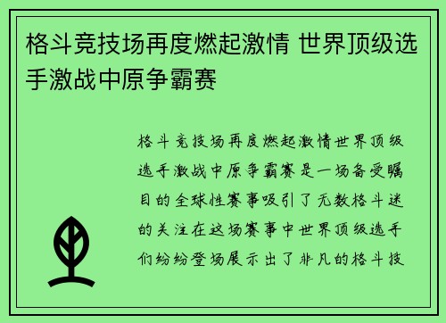 格斗竞技场再度燃起激情 世界顶级选手激战中原争霸赛